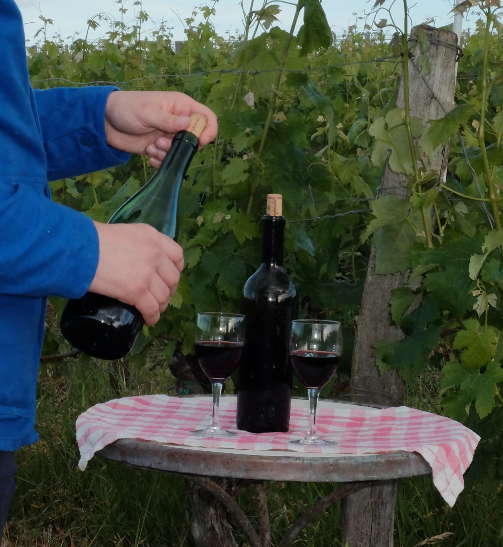 Les bonnes bouteilles commencent par de belles rencontres